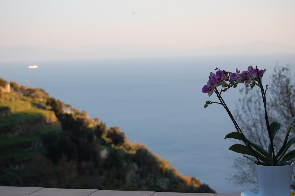 Tenuta Mamma Carmela Amalfi Eksteriør billede